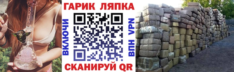 мега как зайти  Удомля  ГАШ гарик 