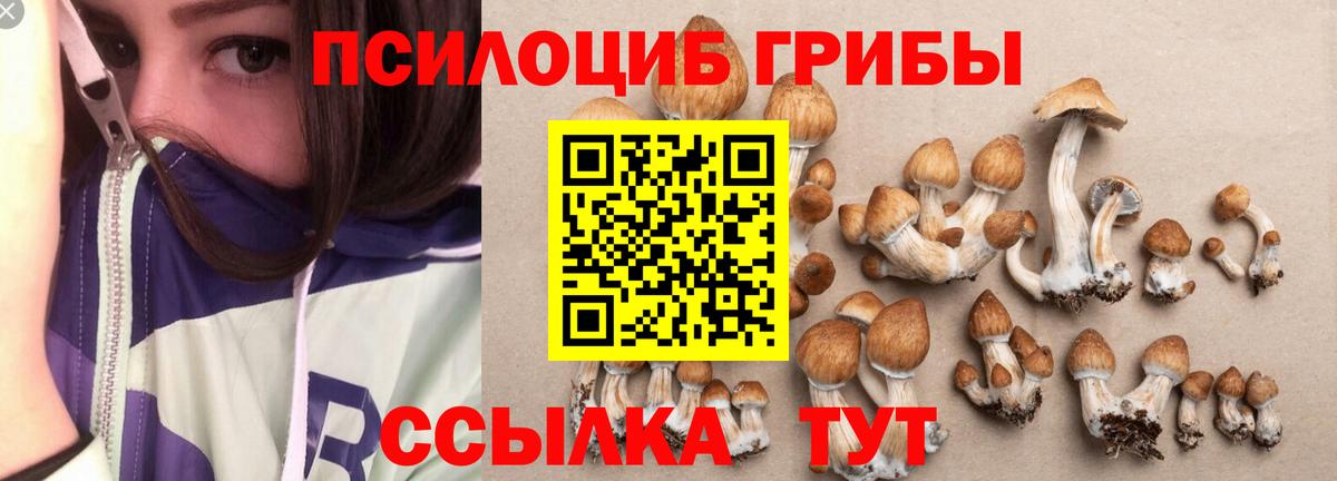 Удомля  продажа наркотиков  Вход с VPN  Галлюциногенные грибы GOLDEN TEACHER 